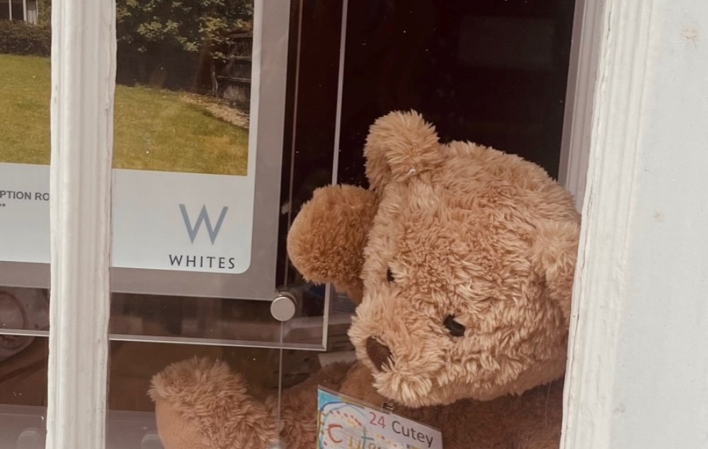 LOOK WHO HAS BEEN HIDING IN OUR WINDOW! Thursday 13th July 2023
