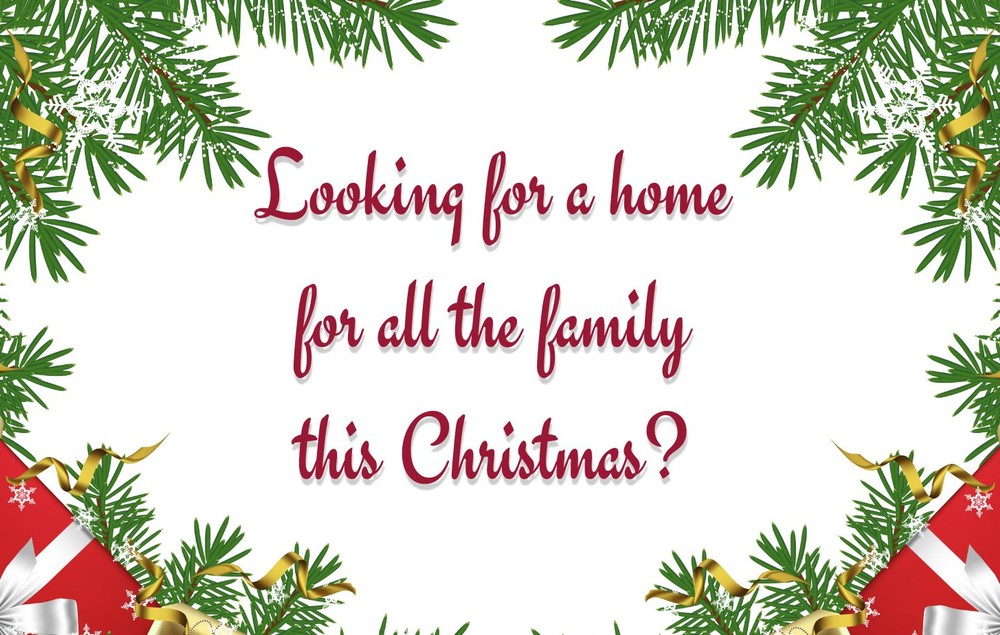 LOOKING FOR A HOUSE TO ACCOMMODATE ALL THE FAMILY THIS CHRISTMAS  Monday 20th November 2023