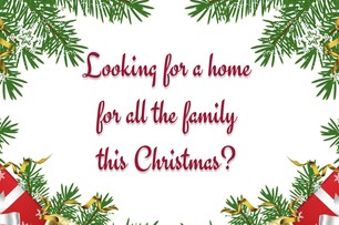 LOOKING FOR A HOUSE TO ACCOMMODATE ALL THE FAMILY THIS CHRISTMAS 