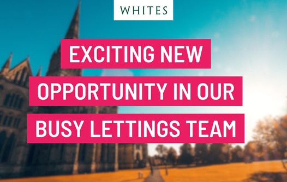 EXCITING OPPORTUNITY IN OUR BUSY LETTINGS TEAM Wednesday 11th May 2022