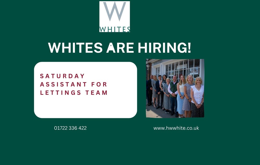 ** SATURDAY ASSISTANT WANTED FOR OUR THRIVING SALISBURY LETTINGS DEPARTMENT ** Monday 18th September 2023